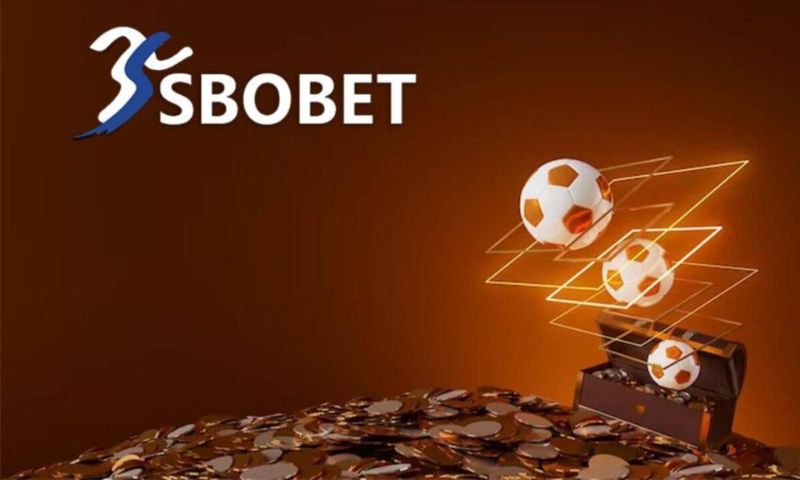 Những dạng dữ liệu mà Sbobet thu thập